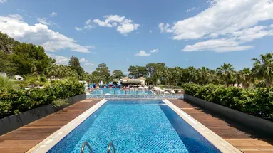 Juju Premier Palace 