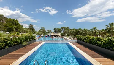 Juju Premier Palace
