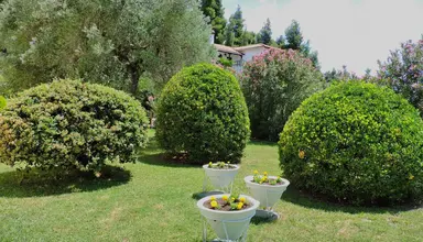 Julia (Chalkidiki)