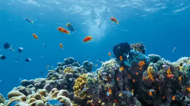 Jumeirah Maldives Olhahali