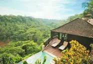 Jungle Retreat by Kupu Kupu