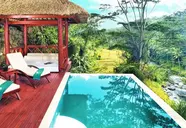 Jungle Retreat by Kupu Kupu