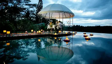 Jungle Retreat by Kupu Kupu