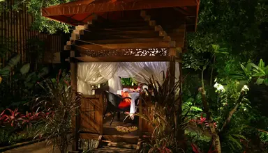 Jungle Retreat by Kupu Kupu