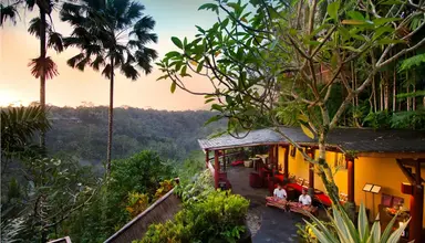 Jungle Retreat by Kupu Kupu