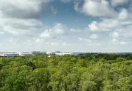 JW Marriot Orlando Bonnet Creek Resort & Spa