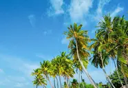 Kaani Beach