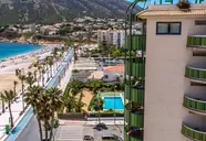 Kaktus Albir