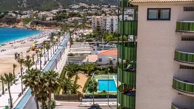 Kaktus Albir