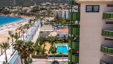 Kaktus Albir
