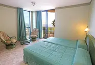 Kaktus Albir