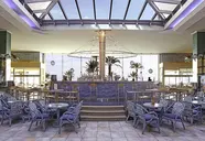 Kaktus Albir