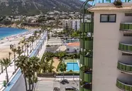 Kaktus Albir