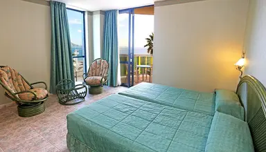 Kaktus Albir