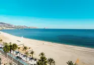 Kaktus Albir