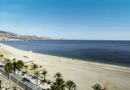 Kaktus Albir