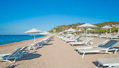 Kaktus Playa