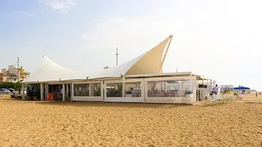 Kaktus Volga