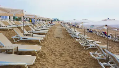 Kaktus Volga