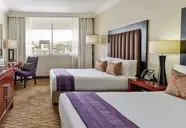 Kalahari Sands
