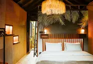 Kanopea Forest Lodge