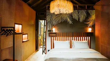 Kanopea Forest Lodge