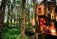 Kanopea Forest Lodge