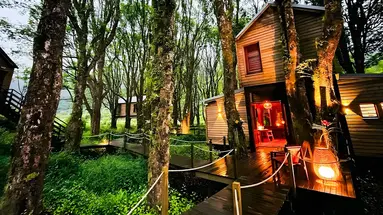 Kanopea Forest Lodge