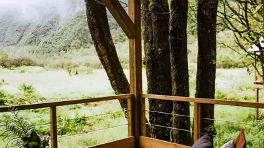 Kanopea Forest Lodge