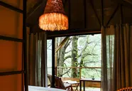 Kanopea Forest Lodge