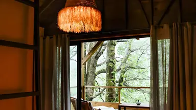 Kanopea Forest Lodge