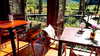Kanopea Forest Lodge