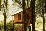 Kanopea Forest Lodge