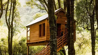 Kanopea Forest Lodge