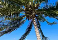 Karibu Beach Resort