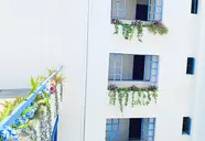 Kassavetis Center