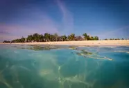 Kendwa Rocks Beach