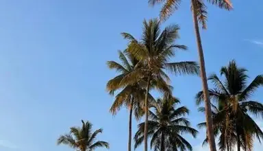Kihori Nungwi Bungalows