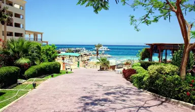 King Tut Resort