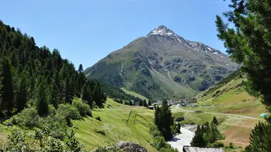 Kleon
