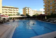 Kleopatra Royal Palm