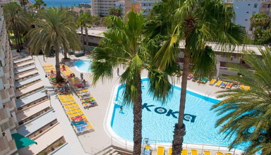Koka