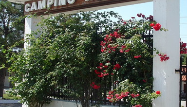 Kouyoni Bungalows