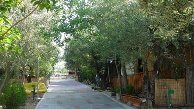 Kouyoni Bungalows