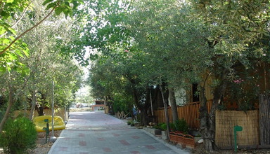 Kouyoni Bungalows