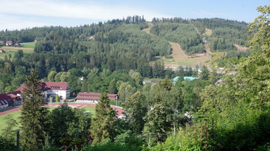 Krokus
