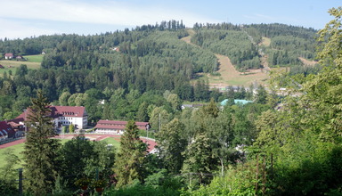 Krokus