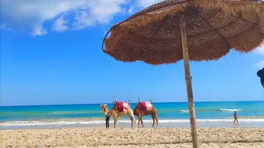 Ksar Djerba