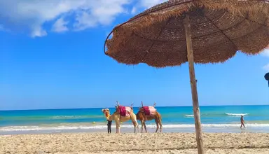 Ksar Djerba
