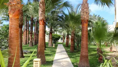 Ksar Djerba